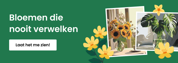 product_detail_banner