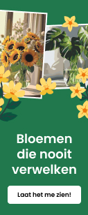 category_banner_small_mobile