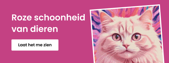 homepage_banner_right