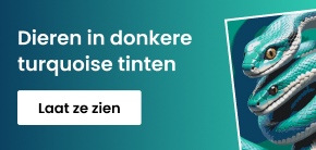 category_banner_big_mobile