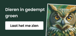 category_banner_big_mobile