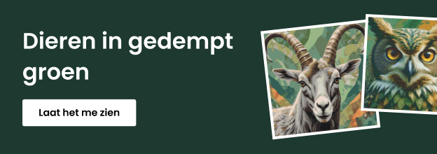 product_detail_banner