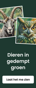 category_banner_small_mobile