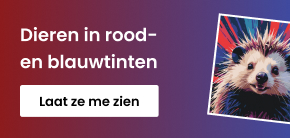 category_banner_big_mobile