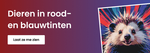 product_detail_banner