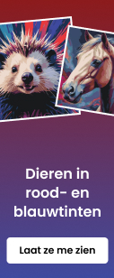 category_banner_small_mobile