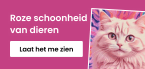 category_banner_big_mobile