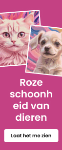 category_banner_small_mobile