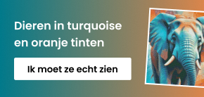 category_banner_big_mobile