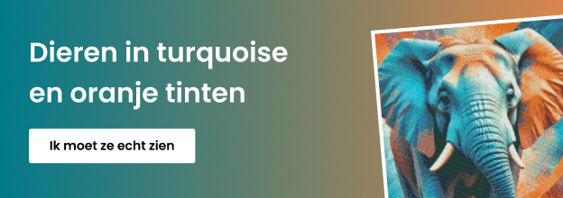 product_detail_banner