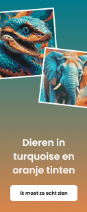 category_banner_small_mobile