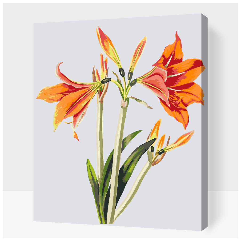 Paint by Number - Vintage Lilies