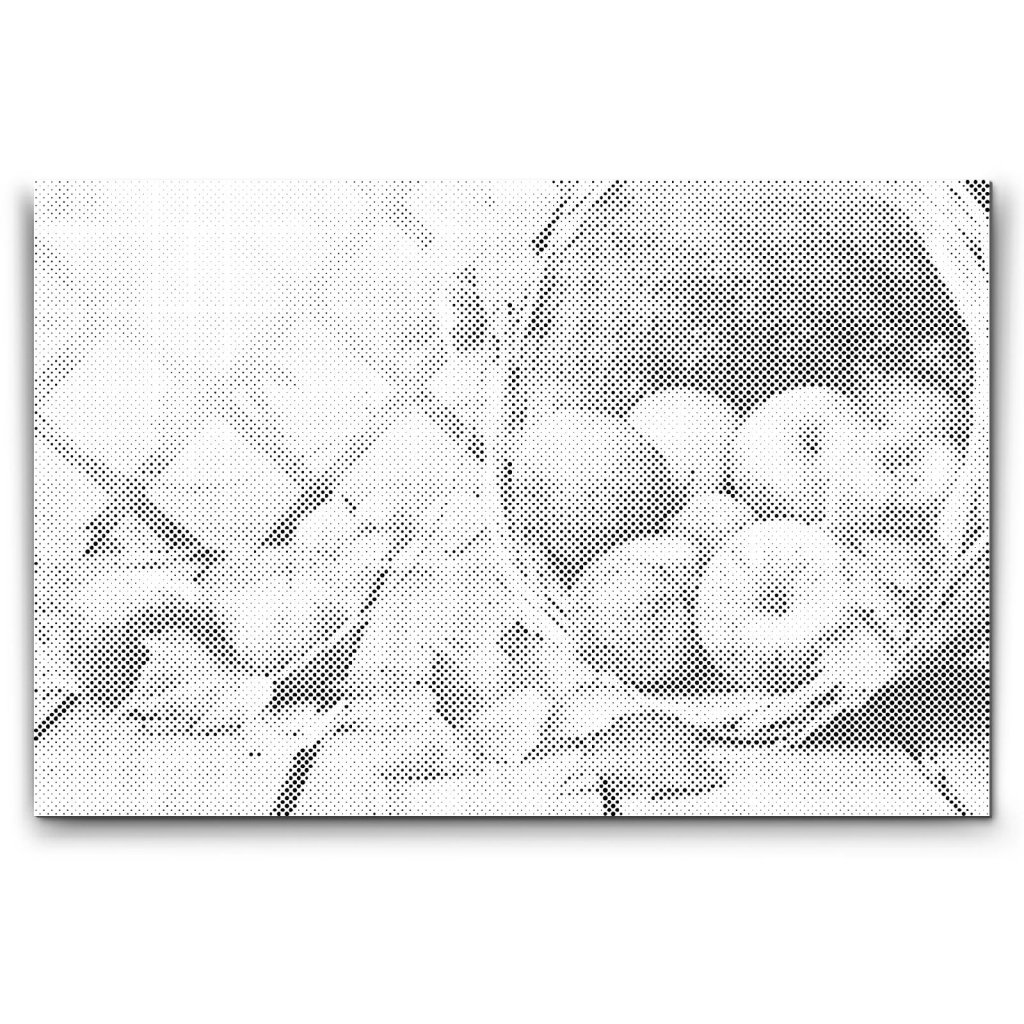M2_Dotting_Points_-_Apples_in_a_Basket