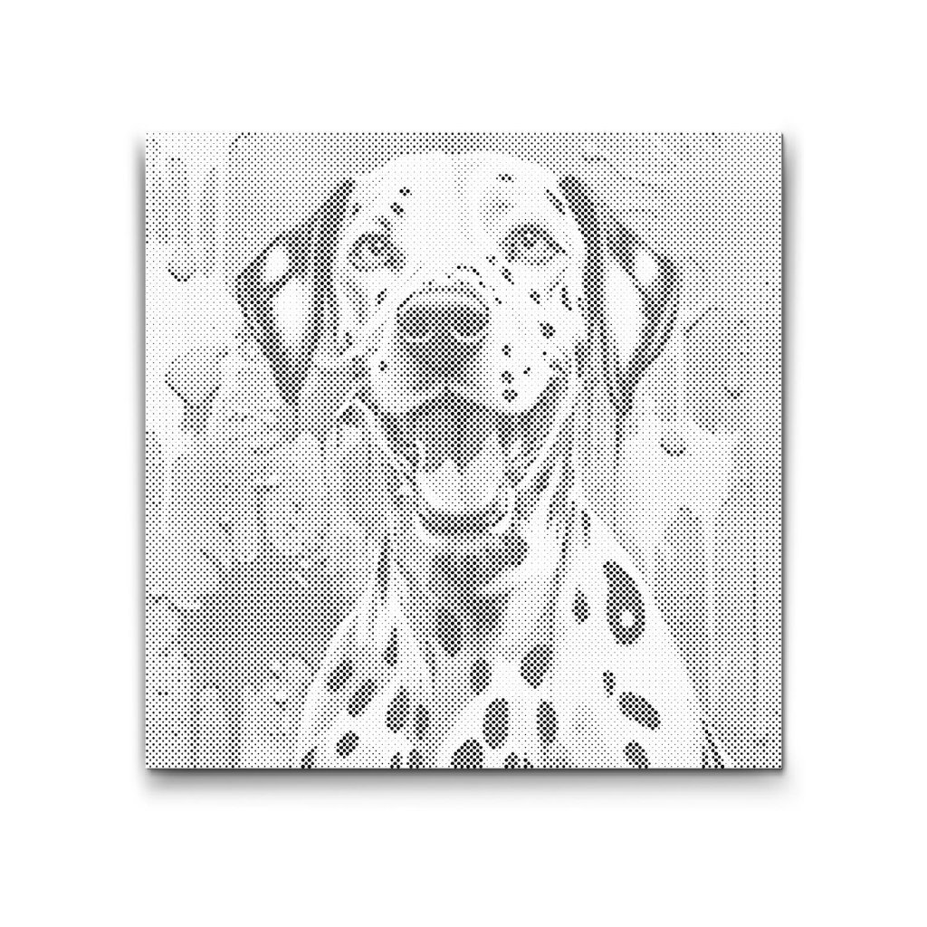 M2_Dotting_Points_-_Colorful_dalmatine