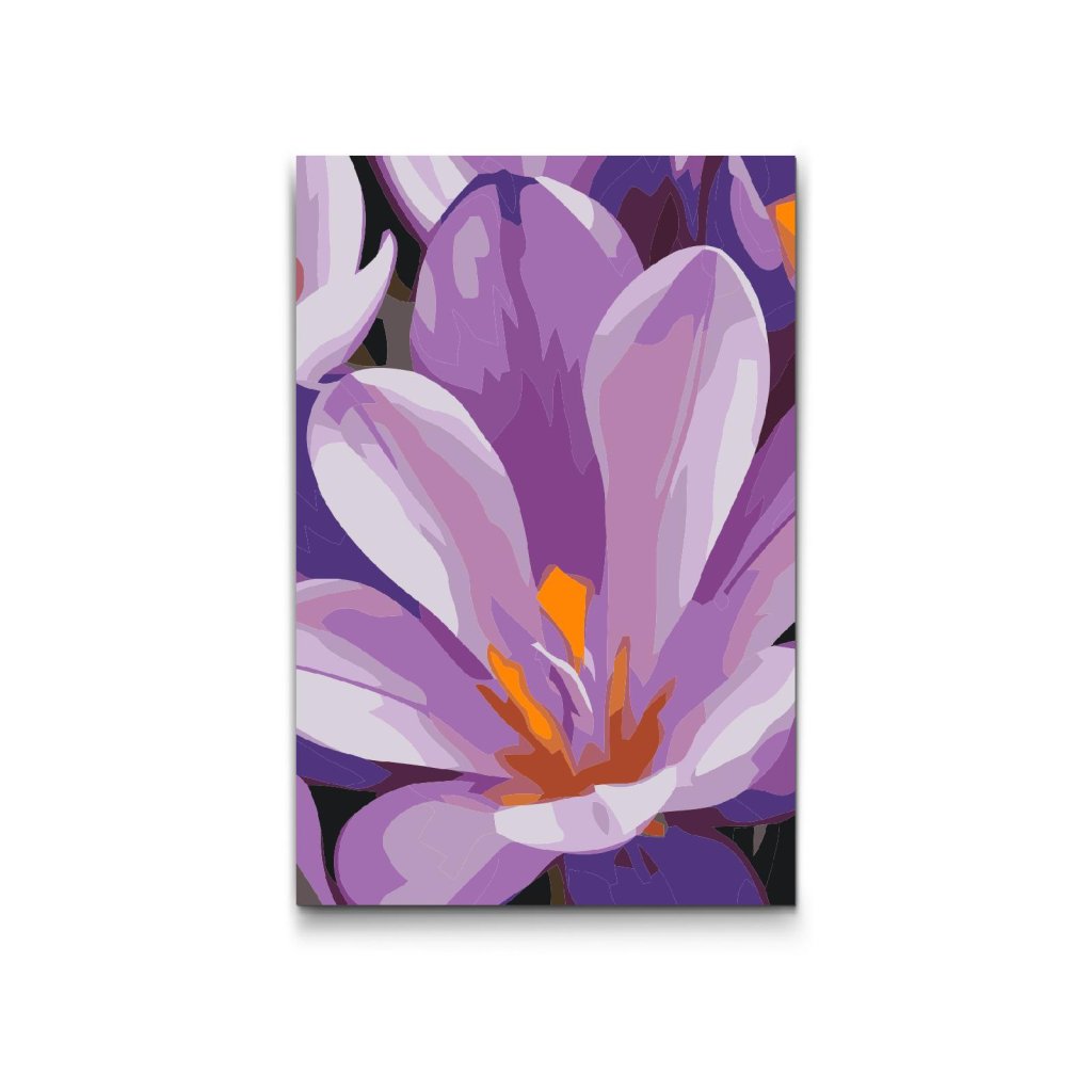M2_Painting_by_Numbers_-_Crocus_flower
