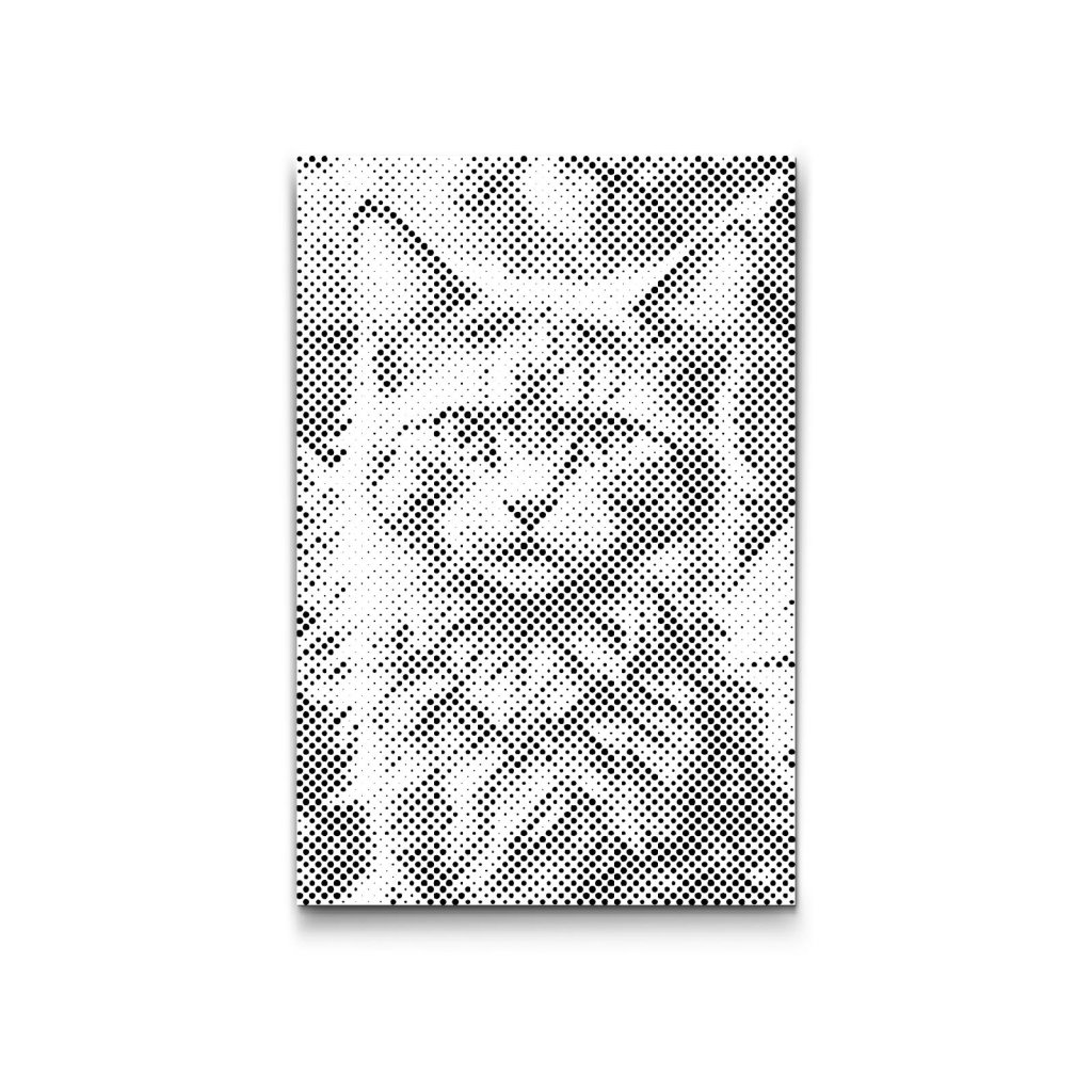 M2_Dotting_Points_-_Magical_winged_cat