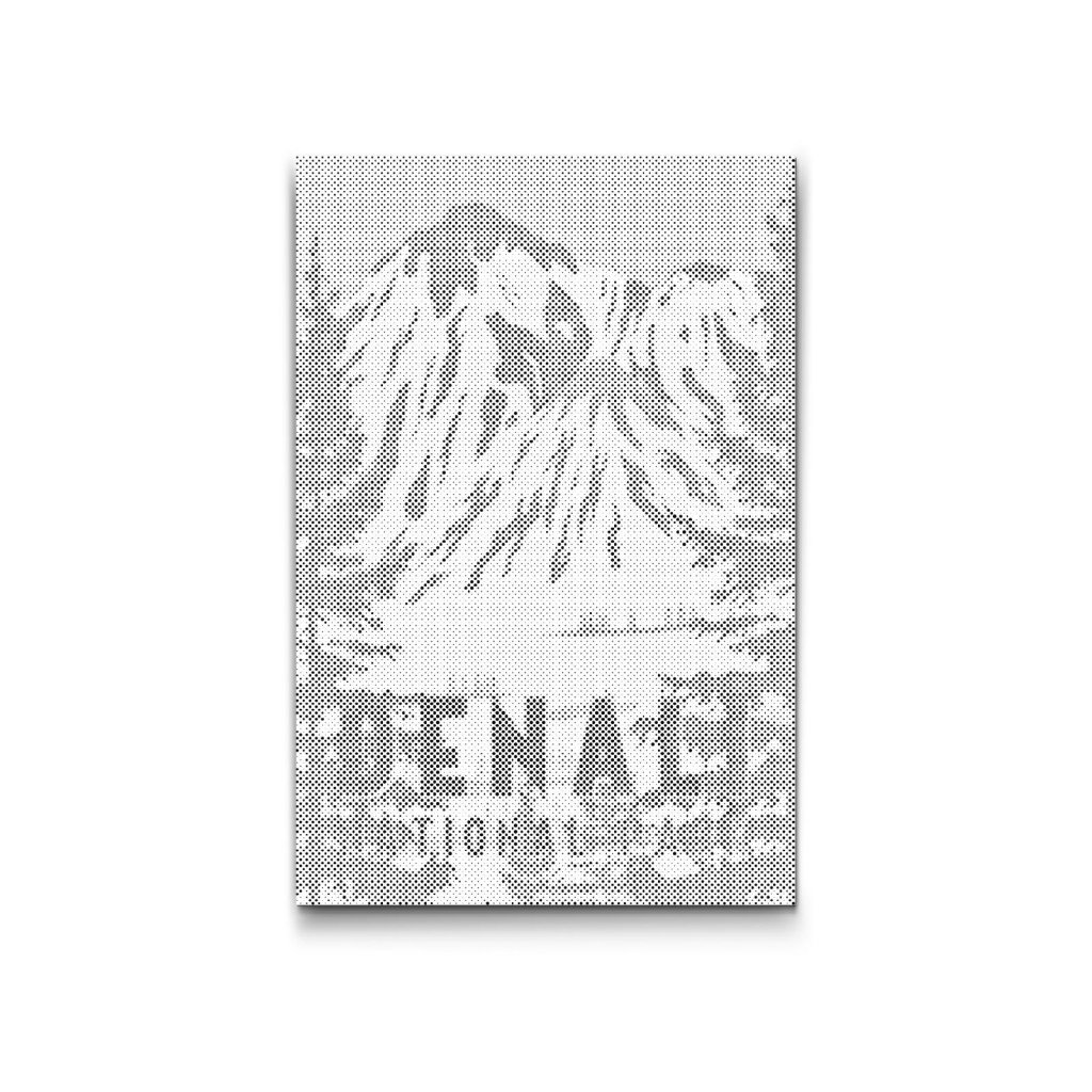 M2_Dotting_Points_-_Denali_National_Park