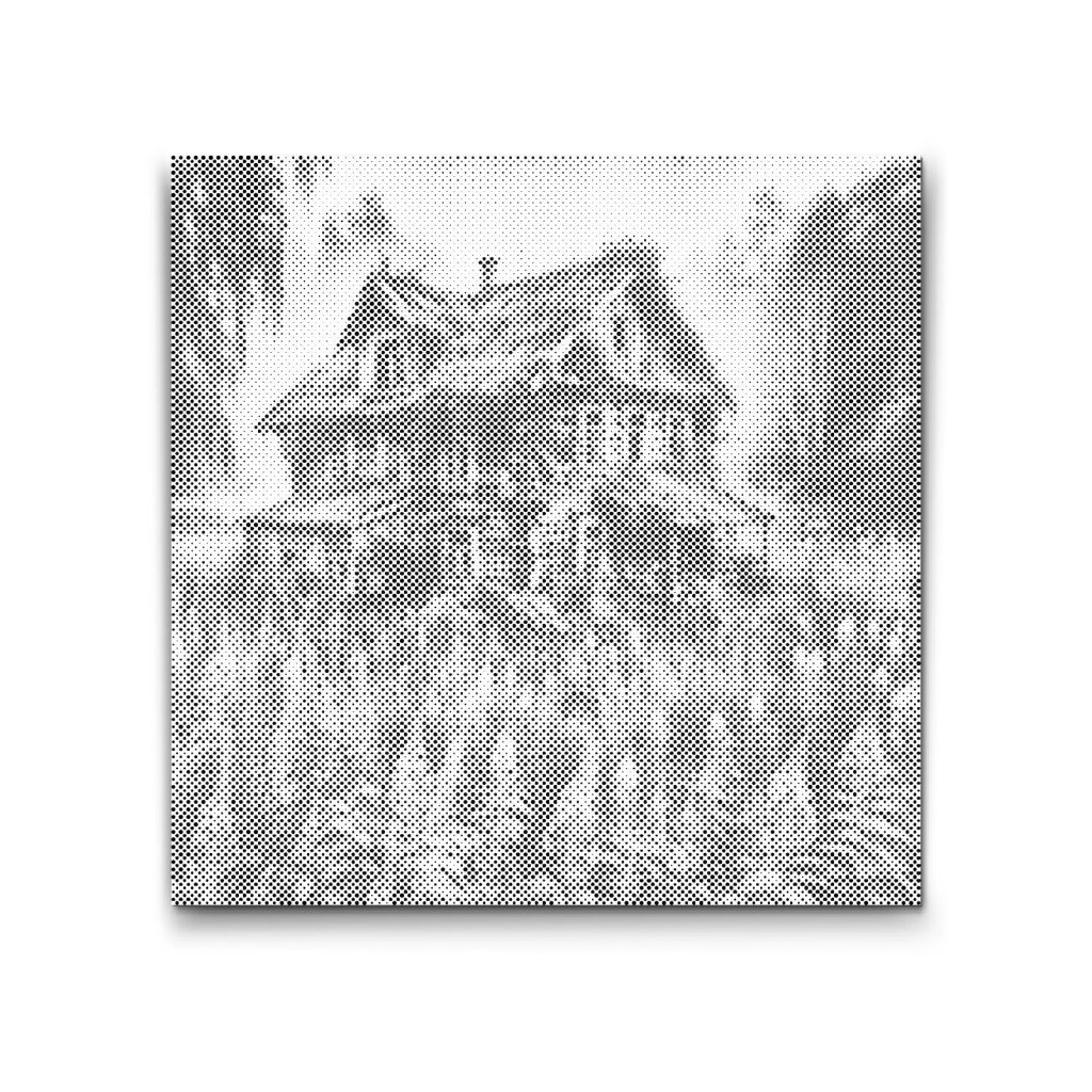 M2_Dotting_Points_-_Abandoned_house_in_the_forest