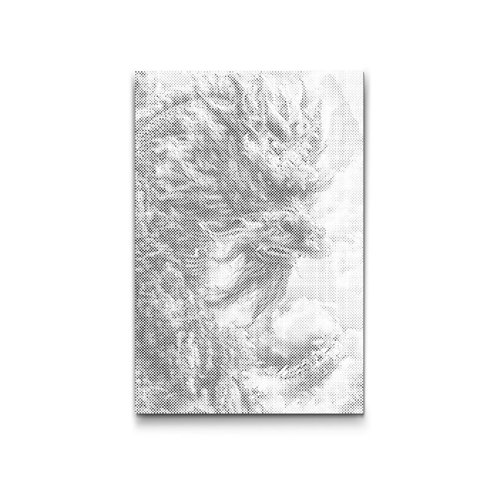 M2_Dotting_Points_-_The_enraged_dragon