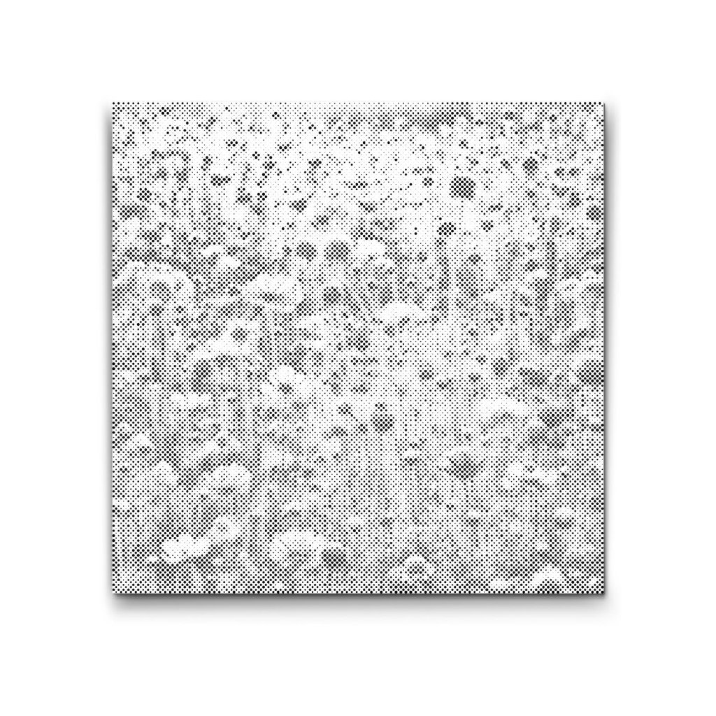 M2_Dotting_Points_-_A_golden_field_of_memories