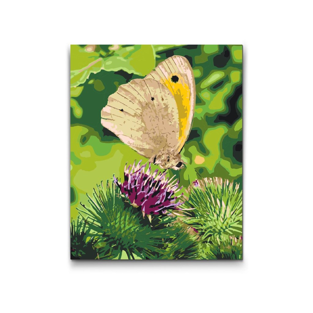 M2_Painting_by_Numbers_-_Butterfly_sitting_on_a_flower