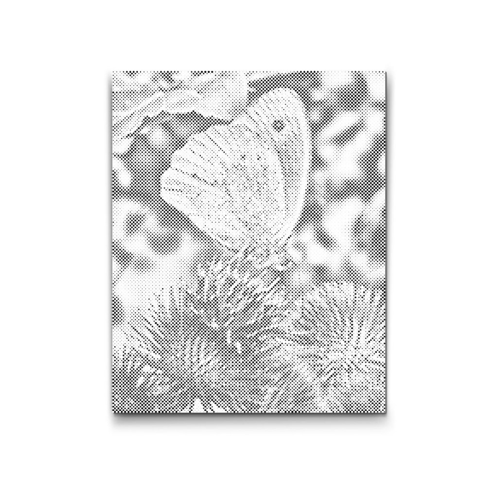 M2_Dotting_Points_-_Butterfly_sitting_on_a_flower