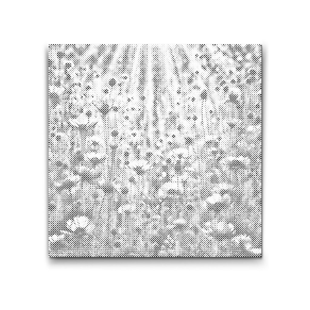 M2_Dotting_Points_-_Blue_field_of_memories