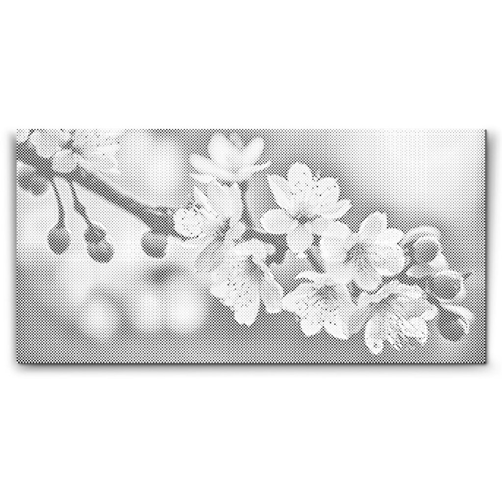 M2_Dotting_Points_-_Spring_blossoms_of_sakura