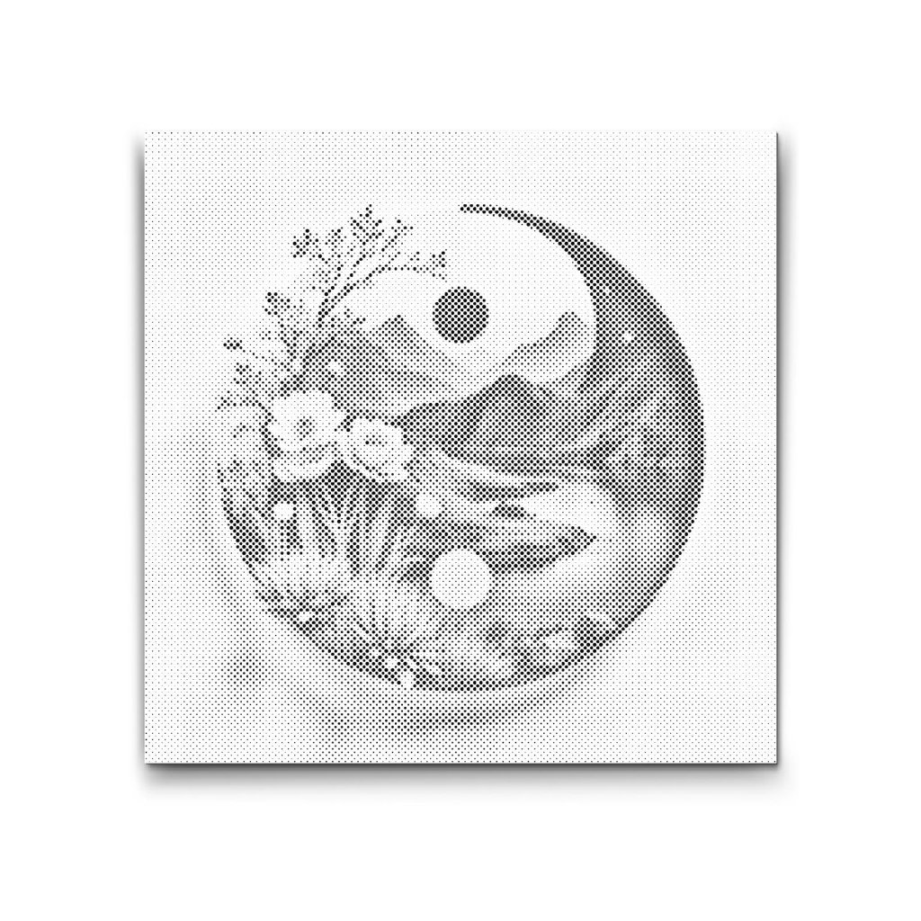 M2_Dotting_Points_-_Jin_Jang_Nature