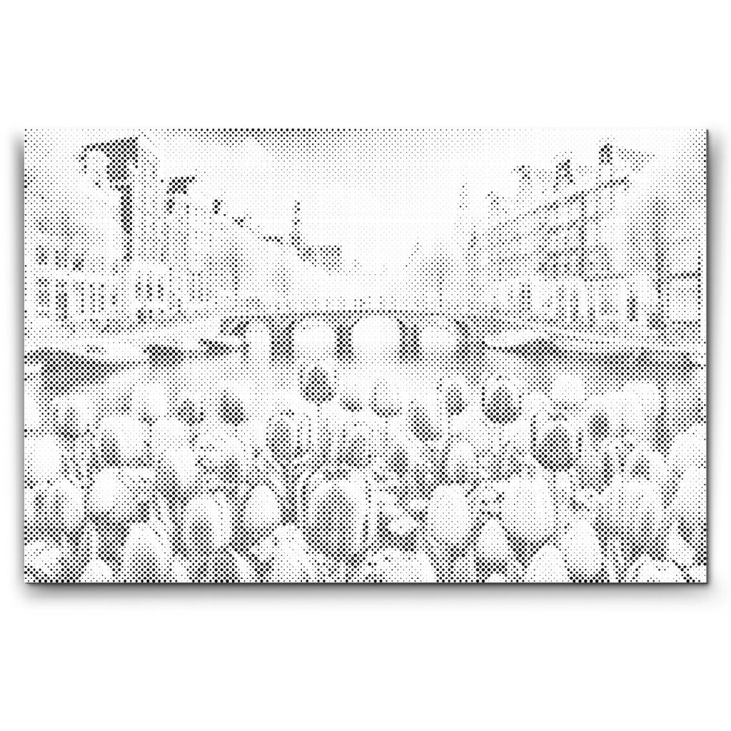 M2_Dotting_Points_-_Tulips_Overlooking_the_Bridge