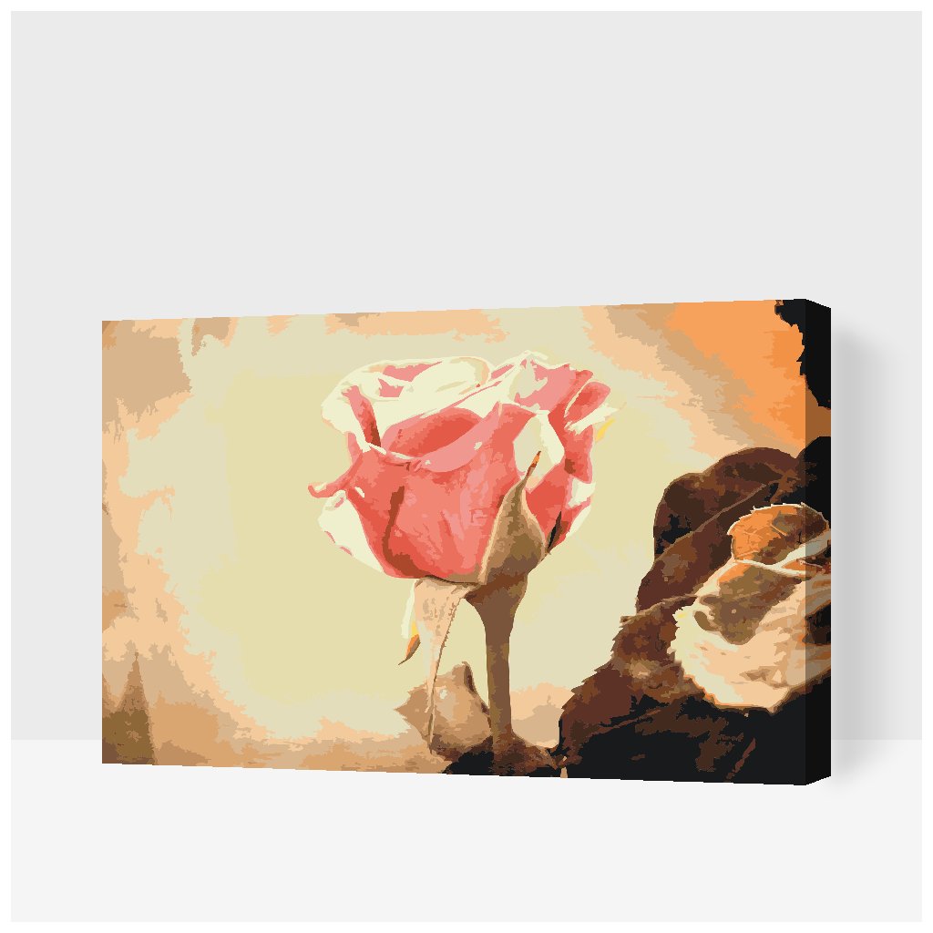 Paint by Number - Vintage Rose 3