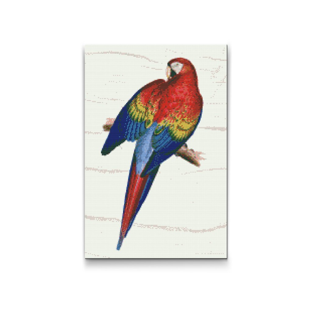 Diamond Painting - Vintage Parrot 2