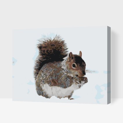 Paint by Number - Squirrel with a Nut