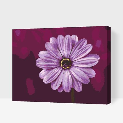 Paint by Number - Gerebera in Purple Colour