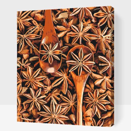 Paint by Number - Star Anise