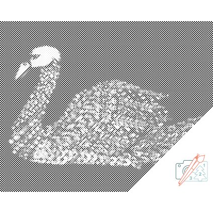 Dotting points - Swan Mandala