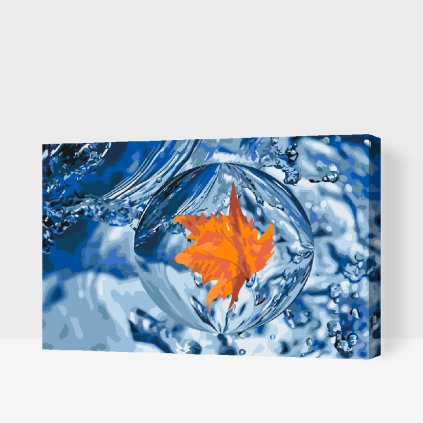 Paint by Number - Leaf in the Drop