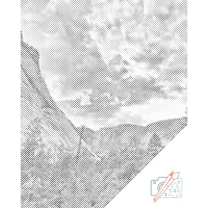 Dotting points - National Park Yosemite