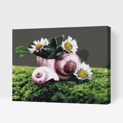 Paint by Number - Daisies in the Conch