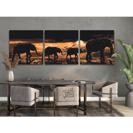 Paint by Number - Elephant march through the savannah (set of 3)