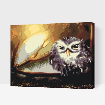 Paint by Number - Wise Owl