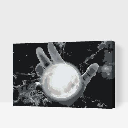 Paint by Number - Within Reach