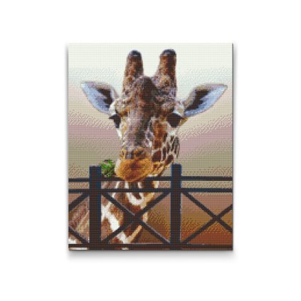 Diamantové malování - Žirafa