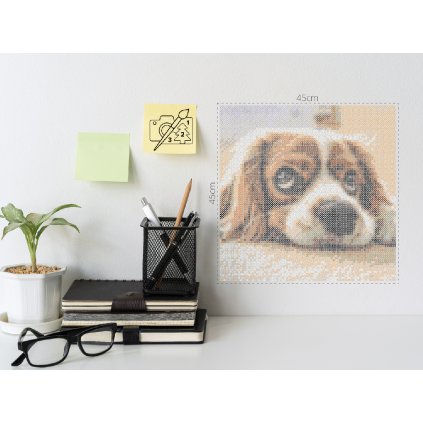 Zažehlovací korálky - Roztomilý pejsek