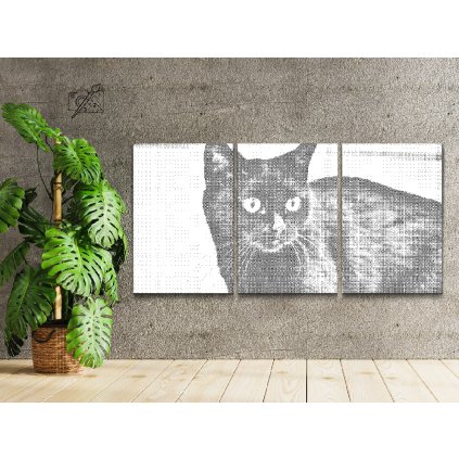 Dotting points - Wild Black Cat (set of 3)