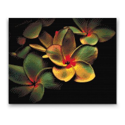 Diamond Painting - Flowers