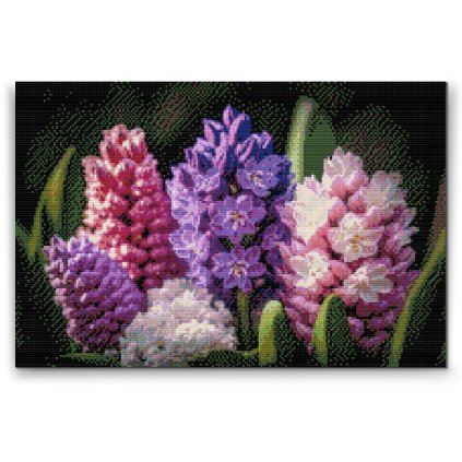 Diamond Painting - Hyacinths