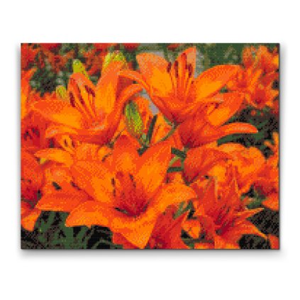 Diamond Painting - Orange lilies 