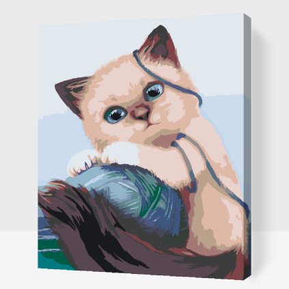 Paint by Number - Kitty playing with a Ball