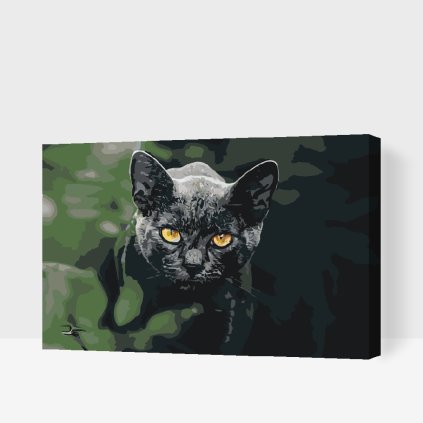 Paint by Number - Black Cat